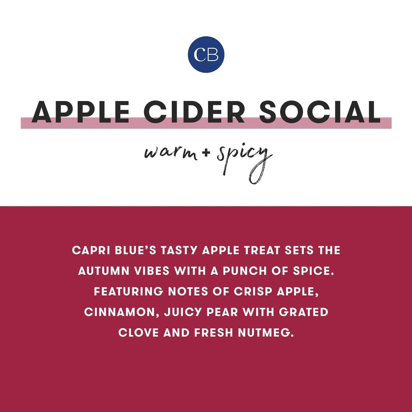CAPRI BLUE - Apple Cider Social Holiday Pattern Play Petite Candle, 8 oz