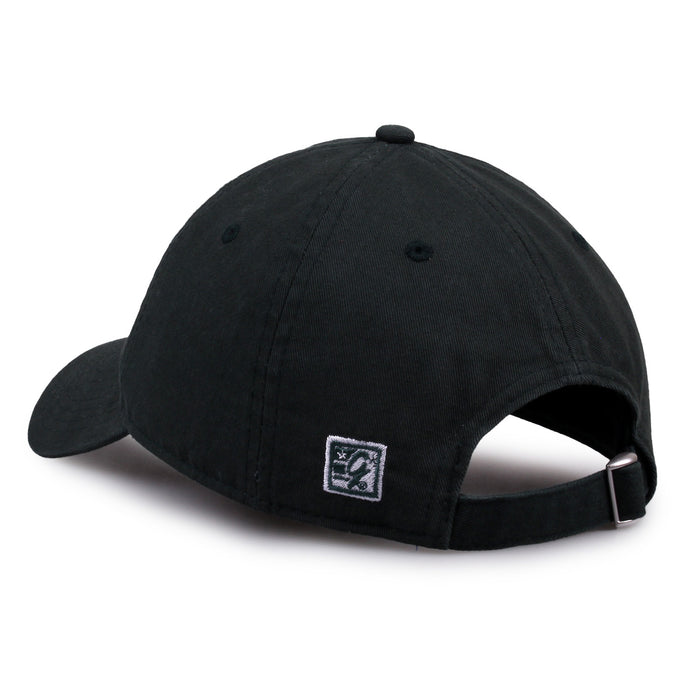 Michigan State hat