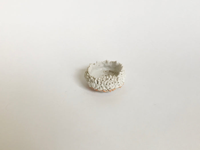 Mini Rasmus Bowl