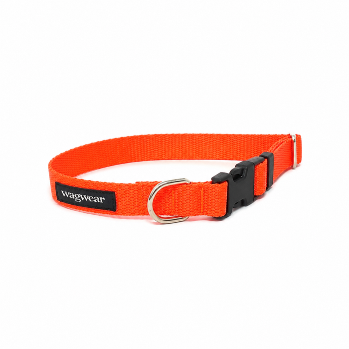 S / Collar / Neon Orange