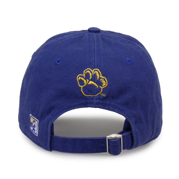 Pitt hat