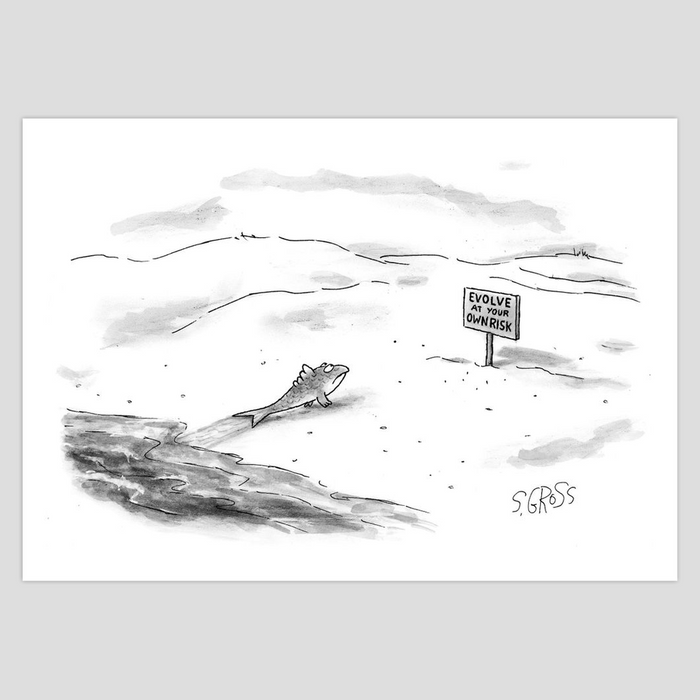 Sam Gross "Evolve at your Own Risk" 5x7 cards