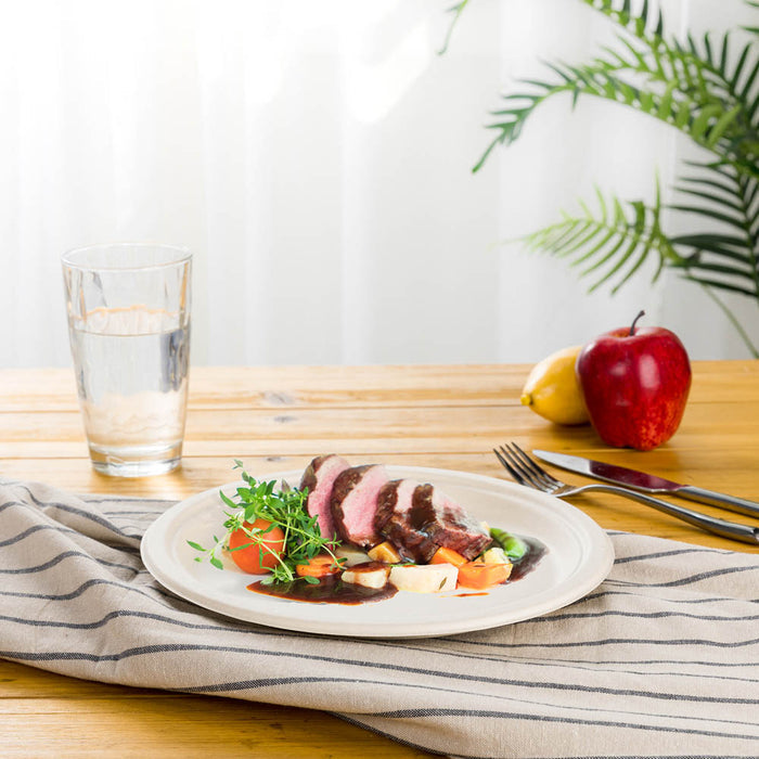 10 inch Natural Compostable & Disposable Sugarcane Plates, 300 Pack