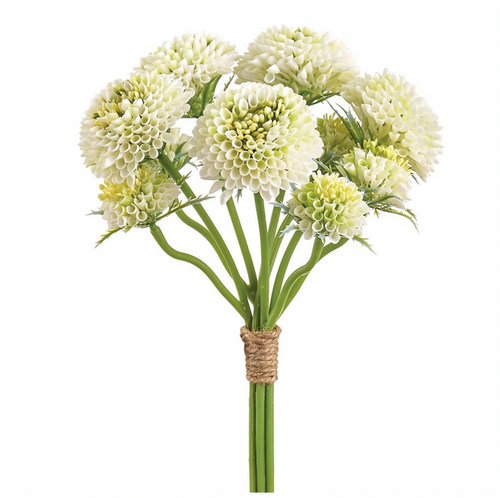 14" Pompon Dahlia Bundle ( FBD055-Cream/Green )
