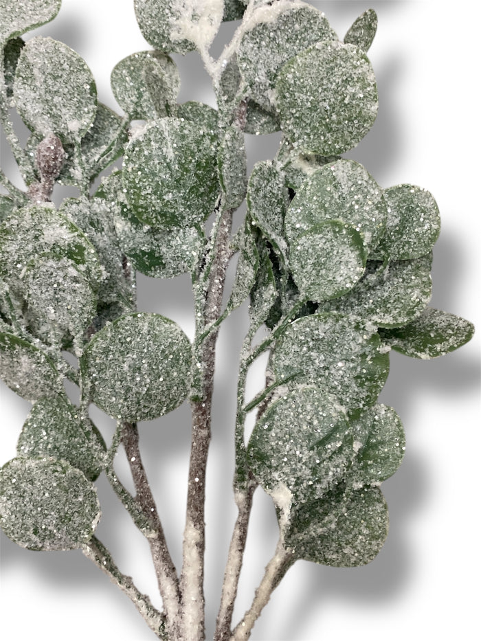30.5'' Eucalyptus with Glitter Snow ( 195052-GN/WH )
