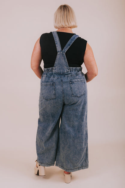 PLUS SIZE - Just Another Day Overalls