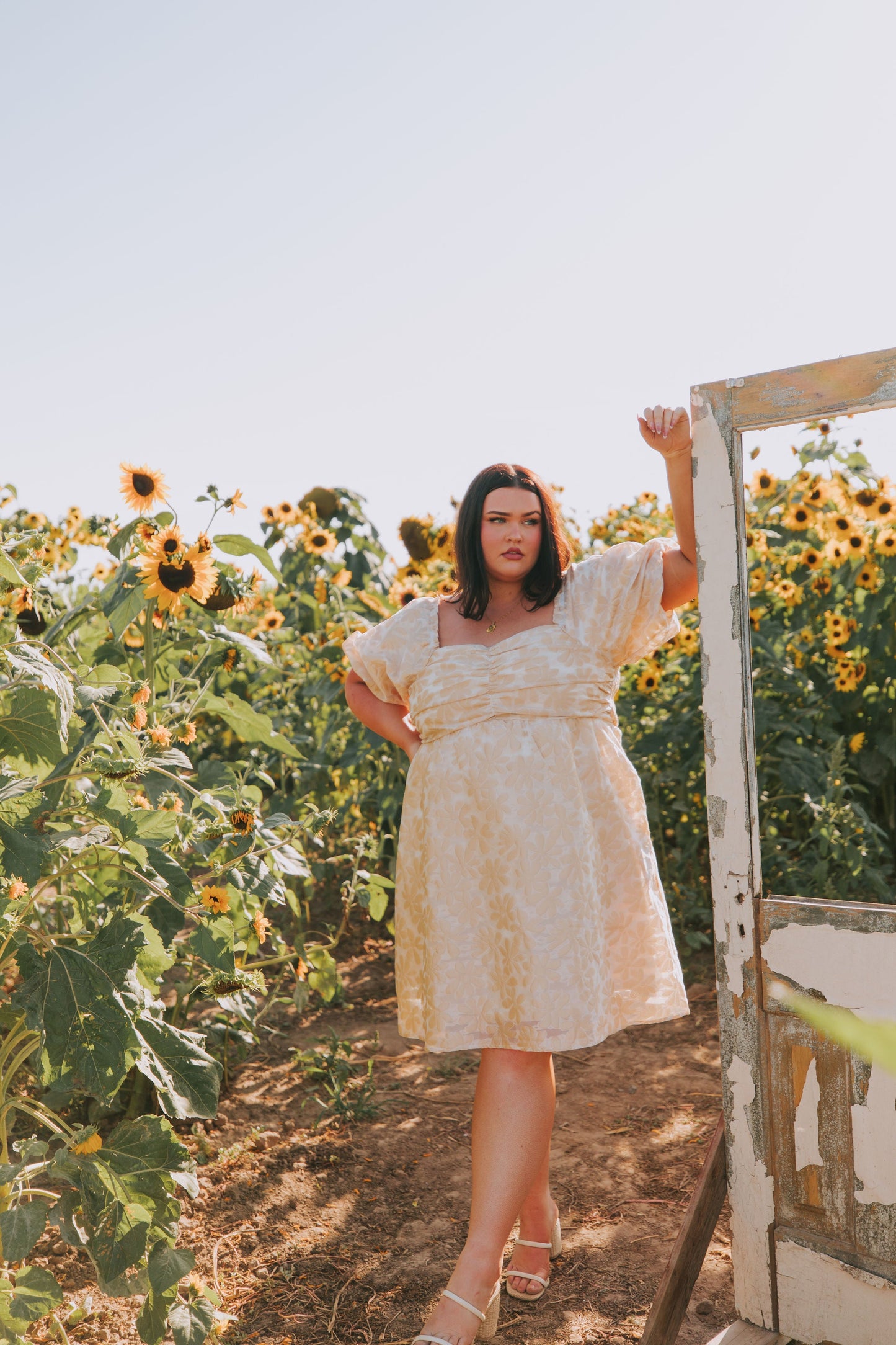 PLUS SIZE - Golden Sunrise Dress
