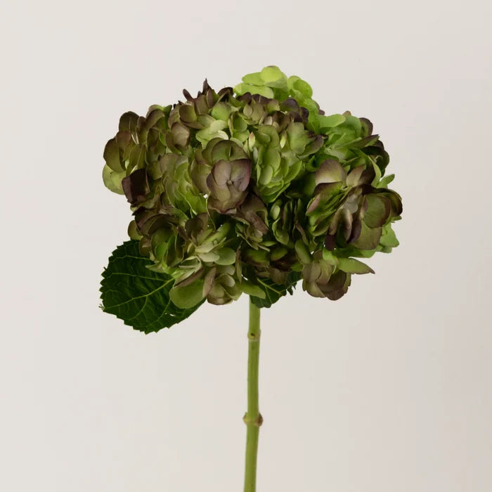 Antique Airbrushed Hydrangea Flower Stem - Image