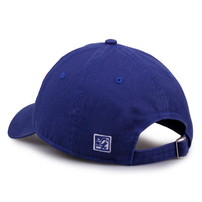 Boise State Dad Cap