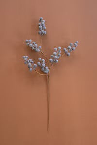 Botonica 9021