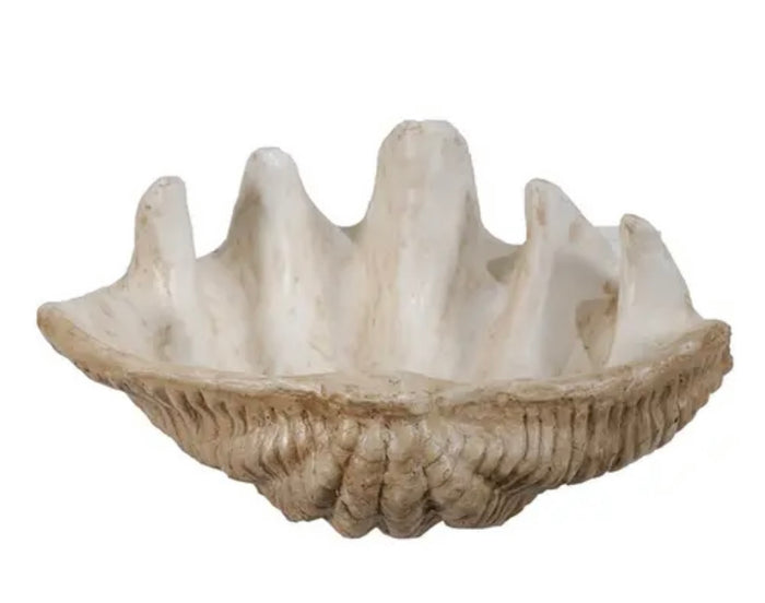 Clam Shell Accent