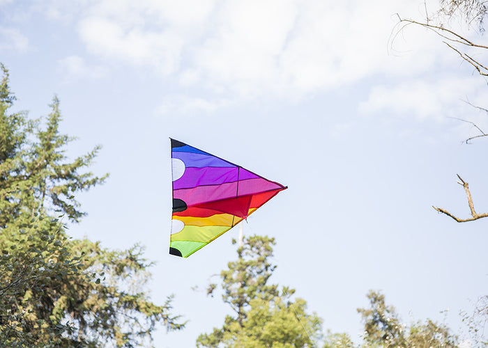 Delta Kite