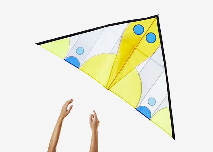 Delta Kite