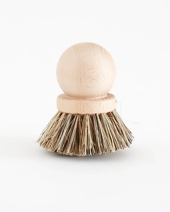 Dish Brush