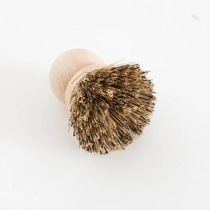Dish Brush