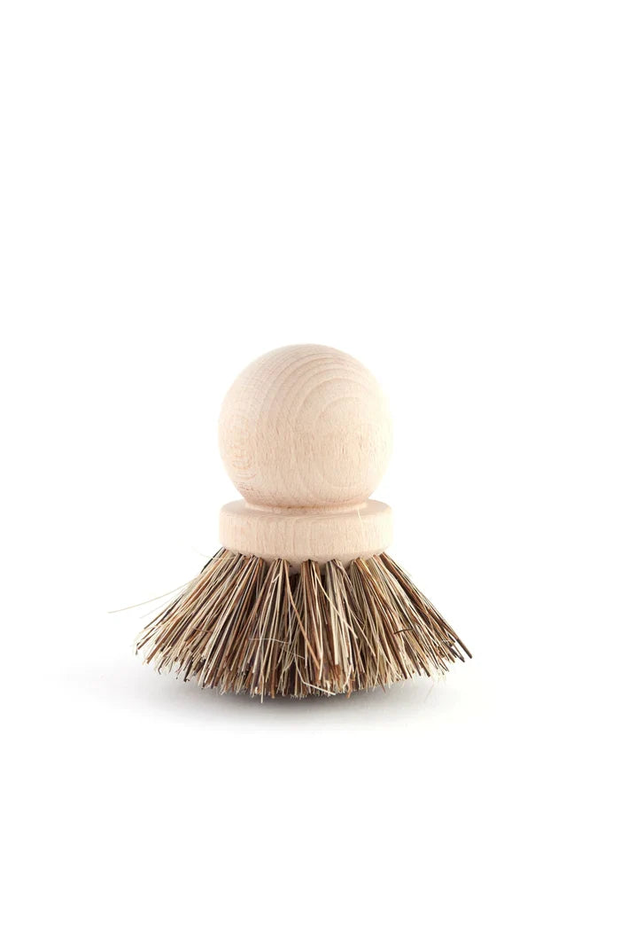 Dish Brush