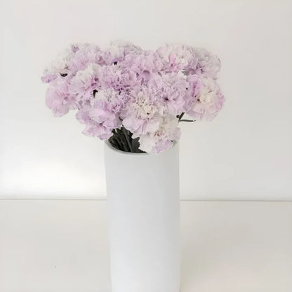 Dusty Lavender Tinted Carnation Flowers Vase - Image