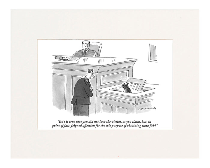 “Isn’t it true that you did not love the victim, as you claim, but, in point of fact, feigned affection for the sole purpose of obtaining tuna fish?” (Lawyer questioning cat in the witness stand.)