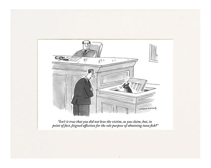 “Isn’t it true that you did not love the victim, as you claim, but, in point of fact, feigned affection for the sole purpose of obtaining tuna fish?” (Lawyer questioning cat in the witness stand.)