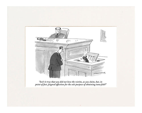 “Isn’t it true that you did not love the victim, as you claim, but, in point of fact, feigned affection for the sole purpose of obtaining tuna fish?” (Lawyer questioning cat in the witness stand.)
