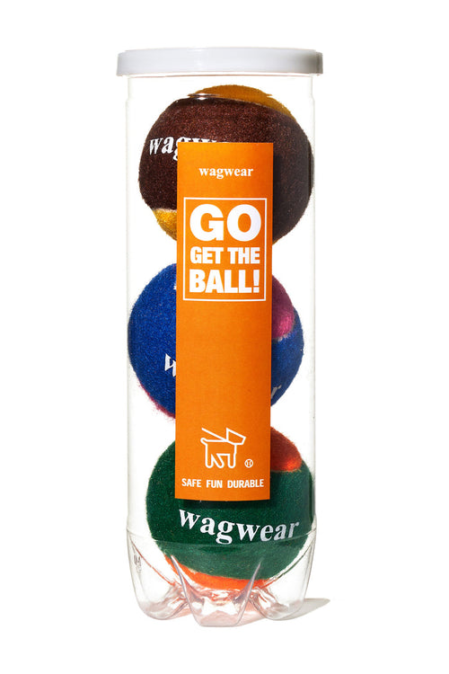 GO GET THE BALL!