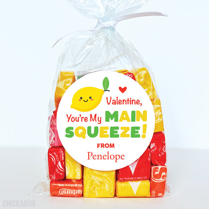 Main Squeeze Valentine's Day Stickers