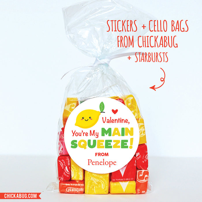 Main Squeeze Valentine's Day Stickers