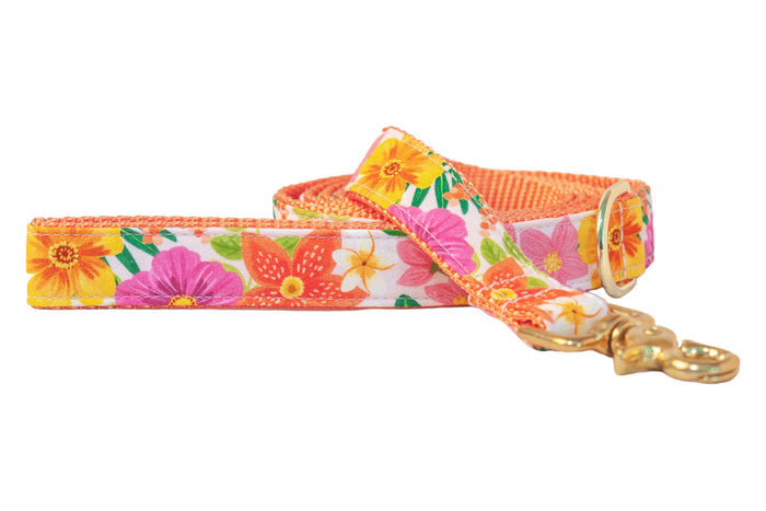 A dog leash with a bright tropical floral design featuring vivid orange, pink, yellow, and white flowers on a white background. The leash is lined with orange webbing and finished with a shiny gold clasp and ring.