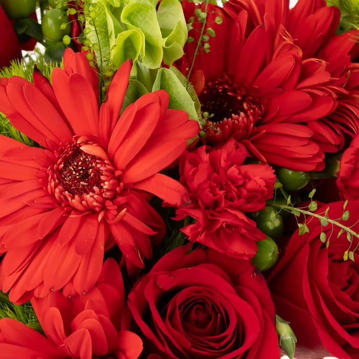 Merry And Bright Diy Flower Kit Close Up - Image