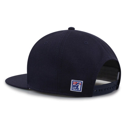 Michigan 86er Snapback