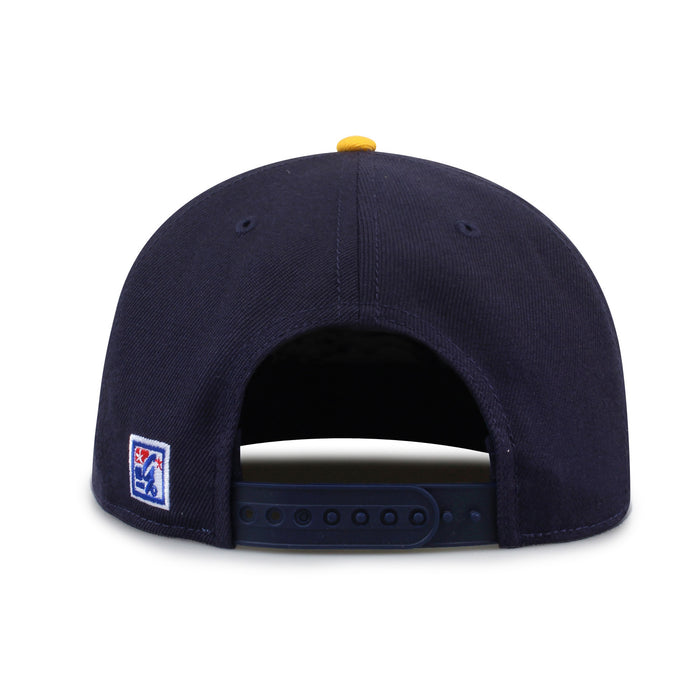 Michigan '93 Til Snapback