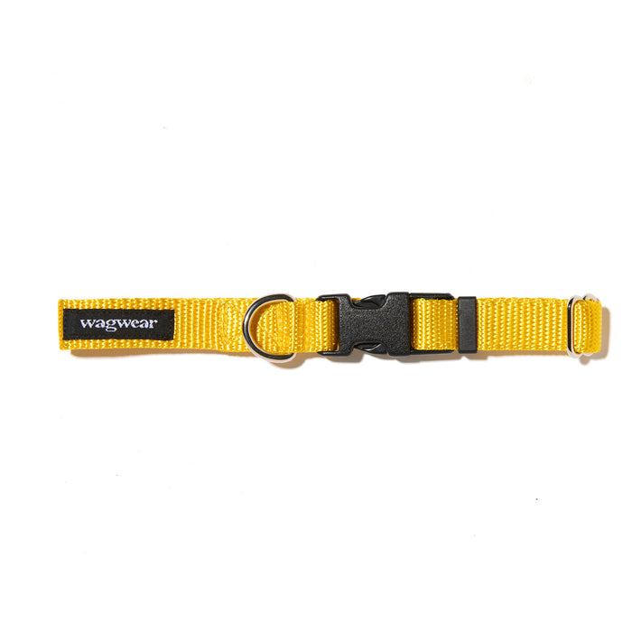 S / Collar / Yellow