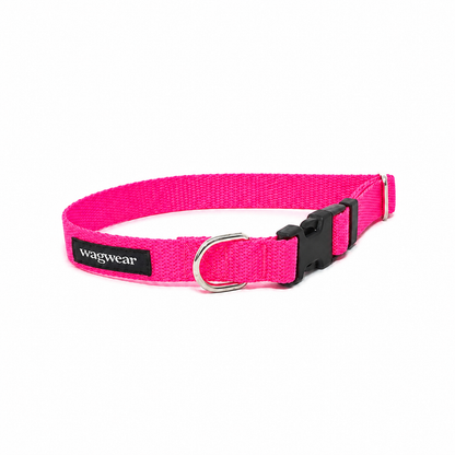 S / Collar / Neon Pink