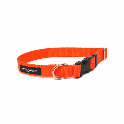 S / Collar / Neon Orange