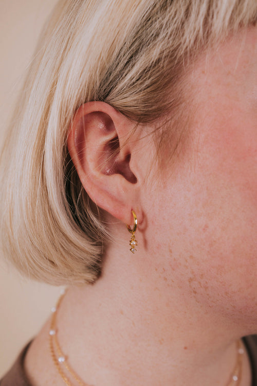 Imaginative Earrings - 14K Gold Plated