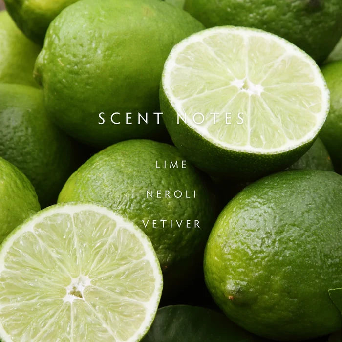 Persian Lime Diffuser