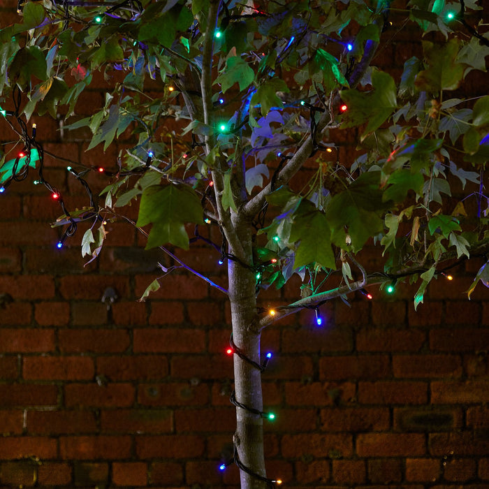 PR50MB_50-MULTI-COLOURED-LED-STRING-LIGHTS-BLACK-CABLE-TREE-PRO_P2.jpg