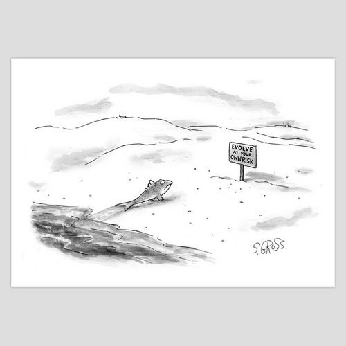 Sam Gross "Evolve at your Own Risk" 5x7 cards