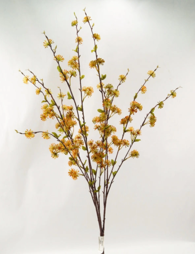 Sedum Bush - Mustard