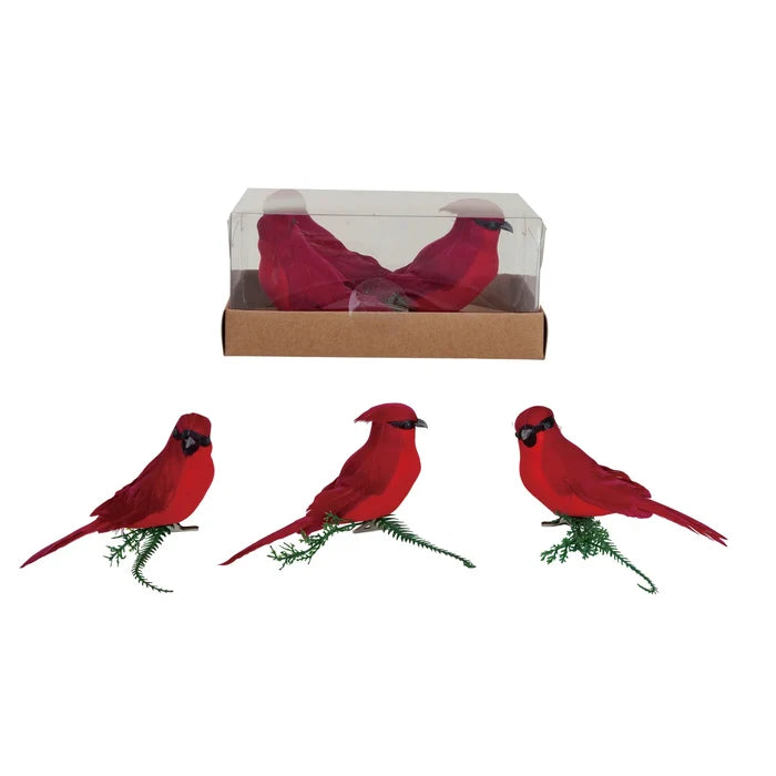 *Set of 3 Cardinals