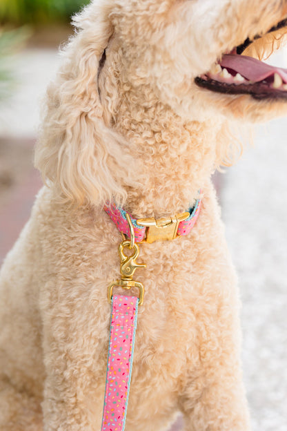 Close-up of a tan curly-haired dog wearing a colorful sprinkle-patterned collar and leash set. The clasp of the leash is attached to the collar’s matching metal D-ring, highlighting the cohesive design and vibrant pink fabric with multicolored sprinkles.