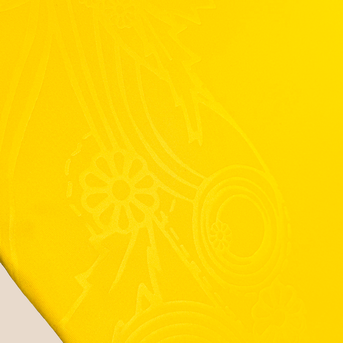 Suecia 2026 Local - Express