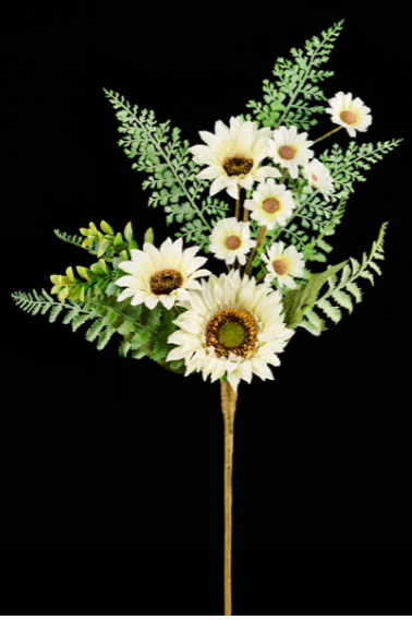 SUNFLOWER BUSH