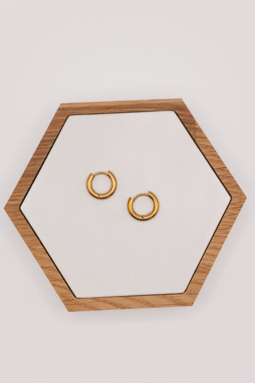 Perfect Places Earrings - 2 Sizes!
