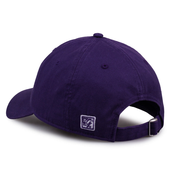 Washington Dad Cap
