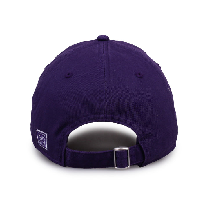 Washington Dad Cap